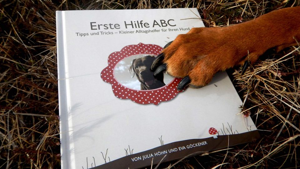 Dogaid Erste Hilfe ABC von Hunden empfohlen